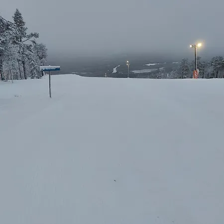 Ferienhaus Suomunkutsu 2 *